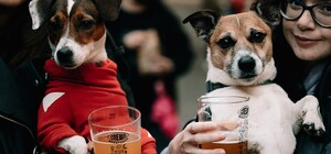 BeerFreak Спешл 2026 — фестиваль крафтового пива та BBQ 