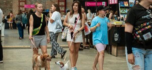BestsellerFest. Книжковий фестиваль