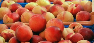 Де цими вихідними у Києві пройдуть продуктові ярмарки. Адреси