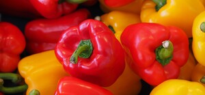 Де цими вихідними у Києві пройдуть продуктові ярмарки. Адреси