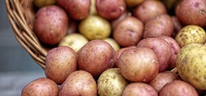 Де цими вихідними у Києві пройдуть продуктові ярмарки. Адреси
