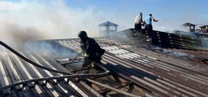 РФ обстріляли птахоферму на Одещині: загинули птахи