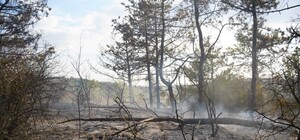 РФ обстріляла Одеський район: горіли ліс і суха трава