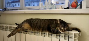 Львівська міська рада оголосила дату початку опалювального сезону
