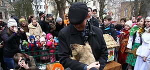 На Стрітення львівський бабак Мишко віщуватиме весну: де і коли подивитись