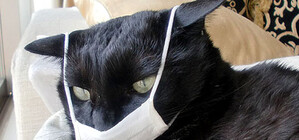 На Львівщині поширюється B/Массачусетс: симптоми грипу