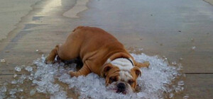 Осінь у Львові почалася з неймовірної спеки - до + 37