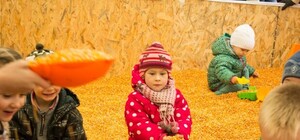 Кукурудзяний басейн, лабіринти в сіні і смаколики: як пройшов осінній пікнік у Львові (фоторепортаж)