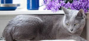 Львів'ян просять зменшити опалення у теплі дні