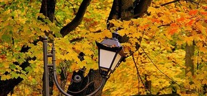 Якою буде погода у Львові у найближчий час та на вихідні