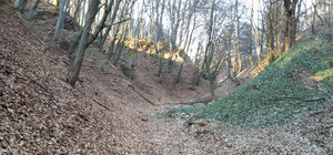 У Львові на 