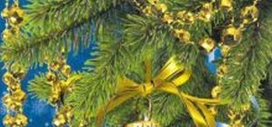 Вітаємо з Новим роком грамотно: правила й приклади