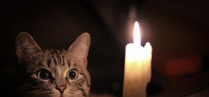 Які вулиці у Львові залишаться без світла на початку квітня