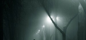 Не для слабких нервів: добірка страшних подій у Львові за 8 квітня (оновлюється)