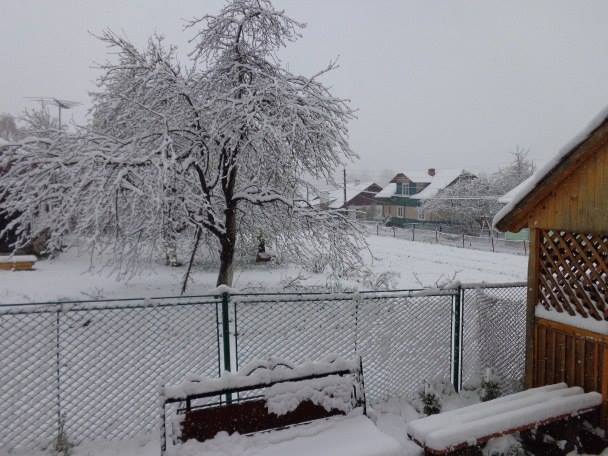Новина - Події - Аграрії розповіли, як снігопад на Львівщині позначиться на врожаї