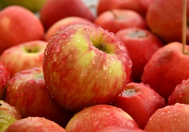 Яблучний спас 2020: звичаї, традиції, забобони. Фото: unsplash.com.