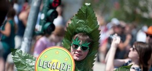 Марш за легалізацію коноплі у Львові скасували