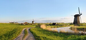 Кучеряві свині, цілющі віслюки та райдужна форель: ТОП-5 екзотичних ферм Західної Украіни