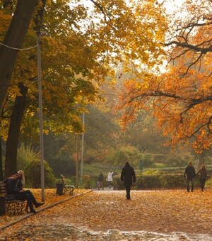 Інстаграмні локації: п'ять місць для осінніх прогулянок у Львові