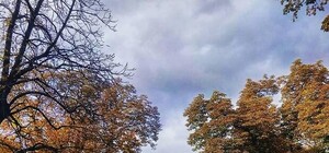 Дізнайся: на якому місці Львів по комфортності проживання