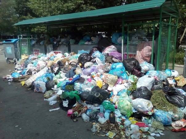 Новина - Події - Впоралися: з території Львова вивезено все накопичене сміття