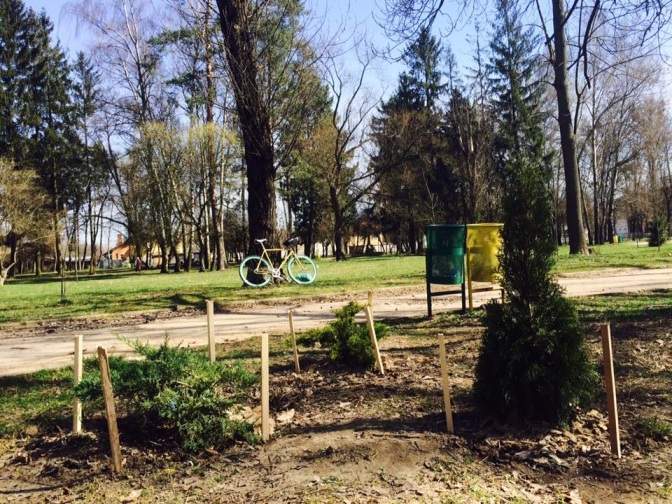 Новина - Події - Шукають свідків: в Левандівському парку невідодмі вкрали садженці 50 дерев