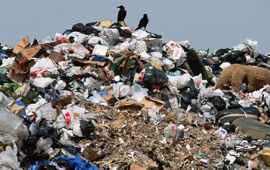 Новина - Події - Добра новина: Львову дадуть 30 млн євро на боротьбу зі сміттям