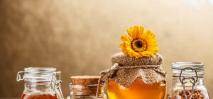 79 гривень за літр: медовий ярмарок у Львові триватиме 10 днів