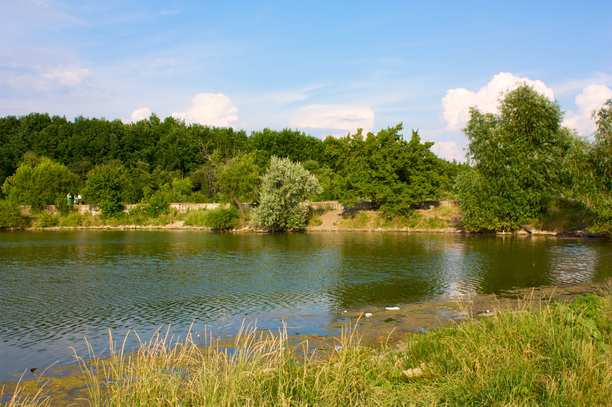 Новина - Події - Місце для відпочинку: у передмісті Львова очистять річку та ставок
