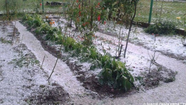 Новина - Події - Відеофакт: у Карпатах випав перший сніг