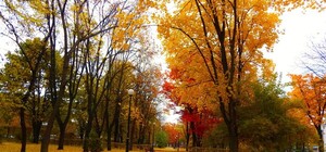 Де саме: у Львові збираються облаштувати ще один парк