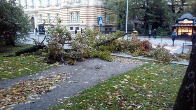 Новина - Події - Адреси: у Львові ліквідовують наслідки буревію