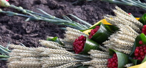 Запали свічку: Львів вшанує пам’ять жертв Голодоморів (програма)