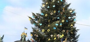 Несподівано: жінка подарувала Львову головну новорічну ялинку міста