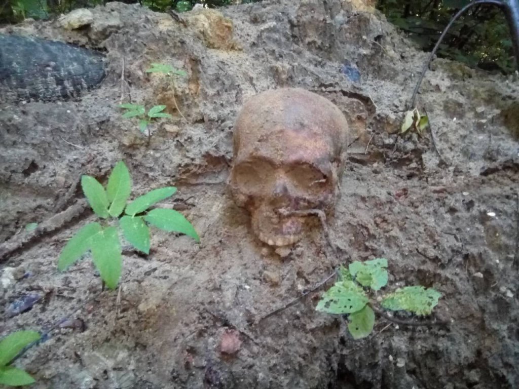 Новина - Події - Нічого святого: на Львівщині мародери розкопали могили