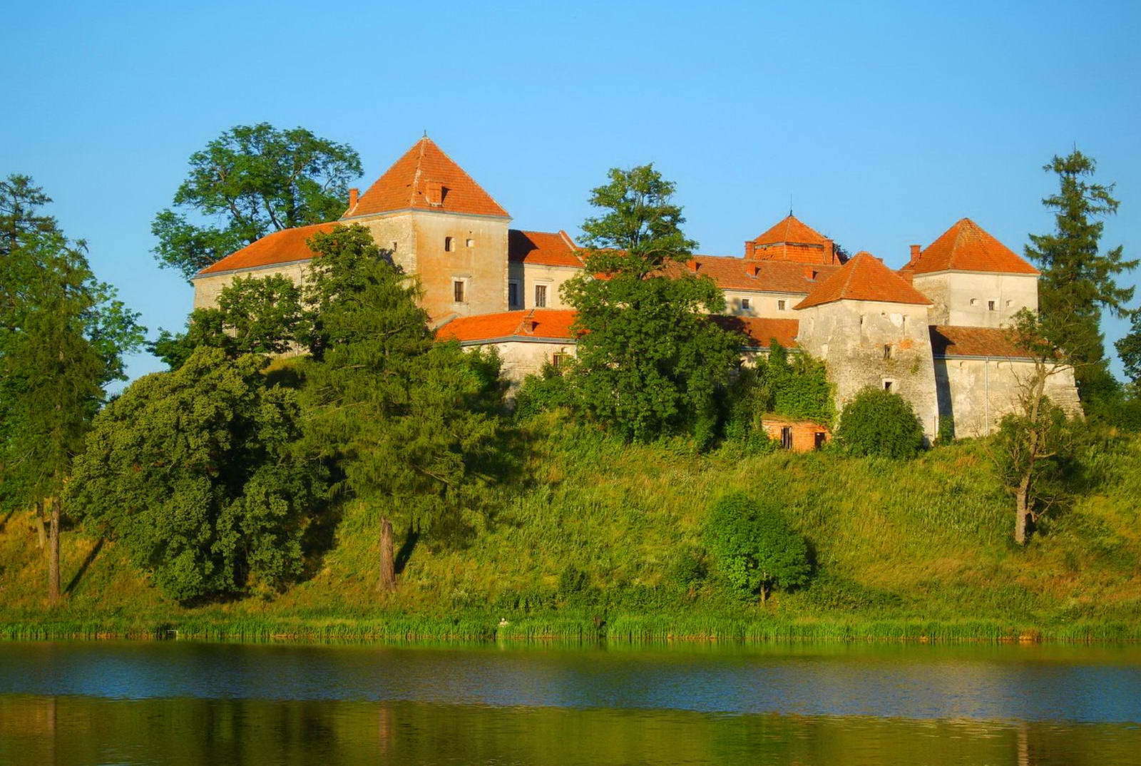 Свірзький замок на Львівщині відкриють для відвідувачів.