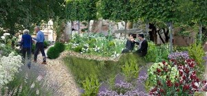 Скелелазна гірка і підвісний місток: як у Львові облаштують сквер та дитмайданчик