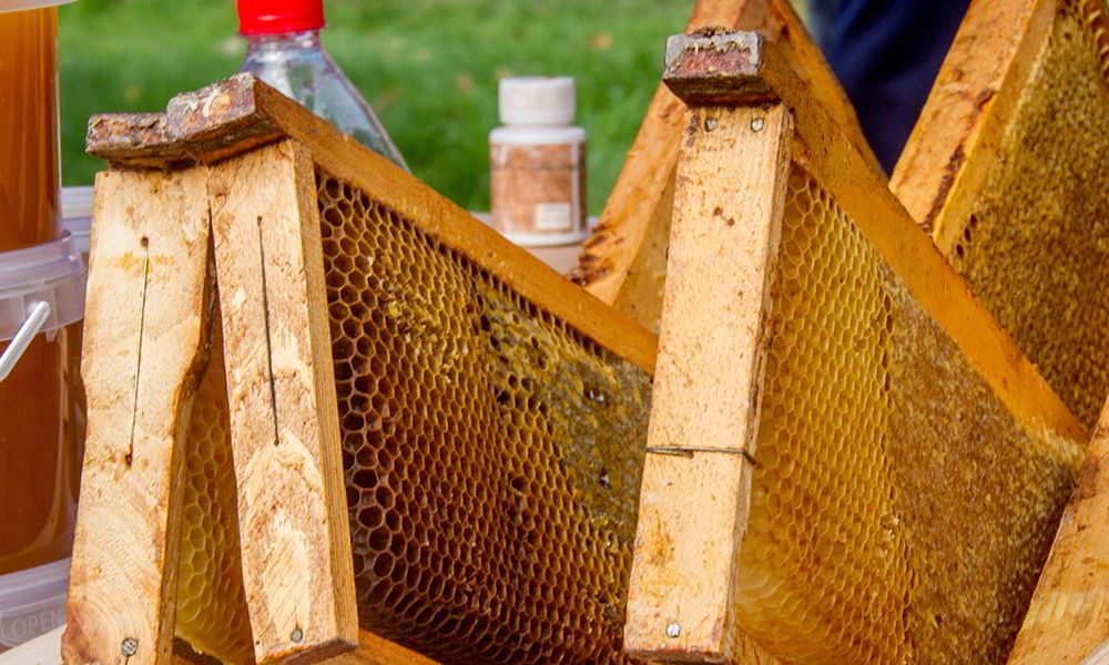 В Олеському замку відбудеться фестиваль меду