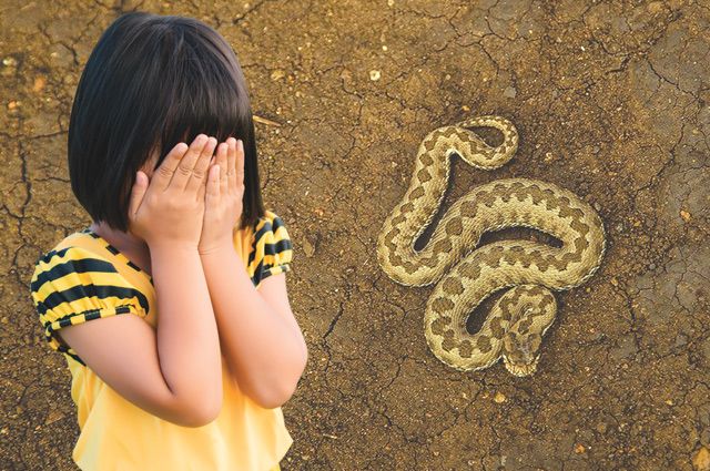 У Львові після укусу змії померла 4-річна дівчинка