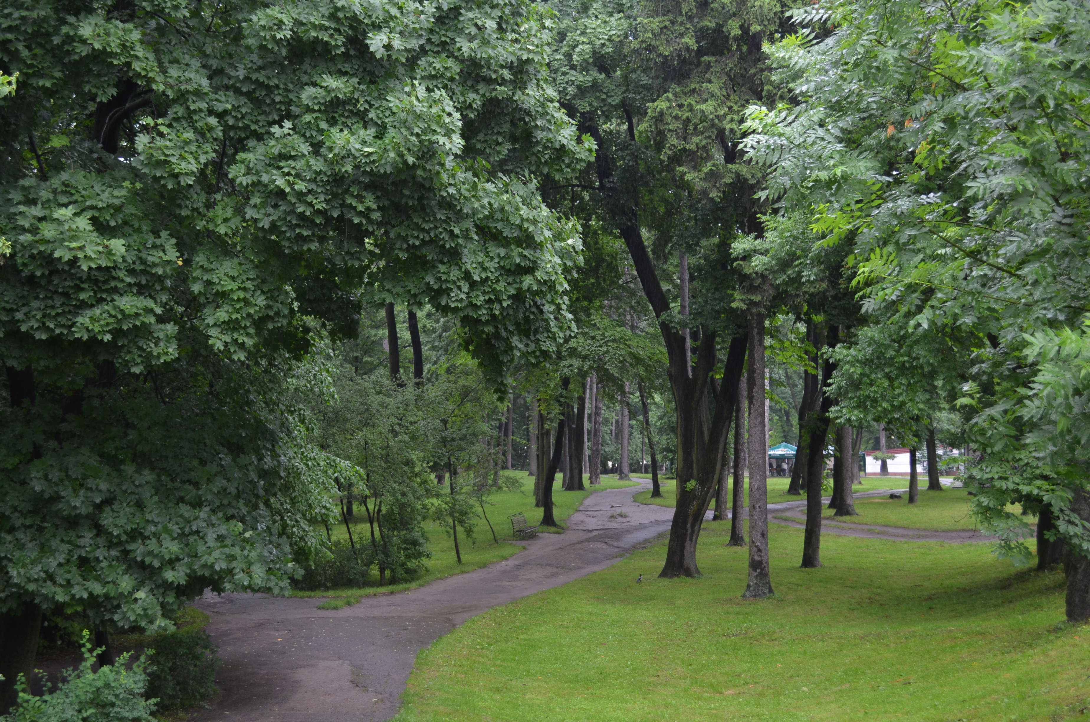 У Львові відремонтують Личаківський парк.