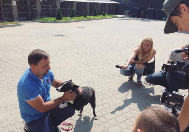 Перший в Україні собака-візитер Лола. Фото Львівської міськради.