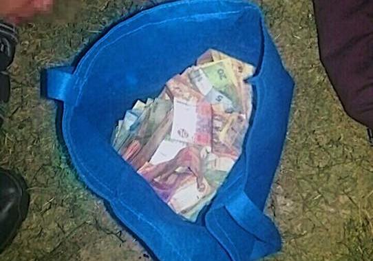 Новина - Події - Знайшли в кущах: львівські поліцейські затримали чоловіків з торбою грошей