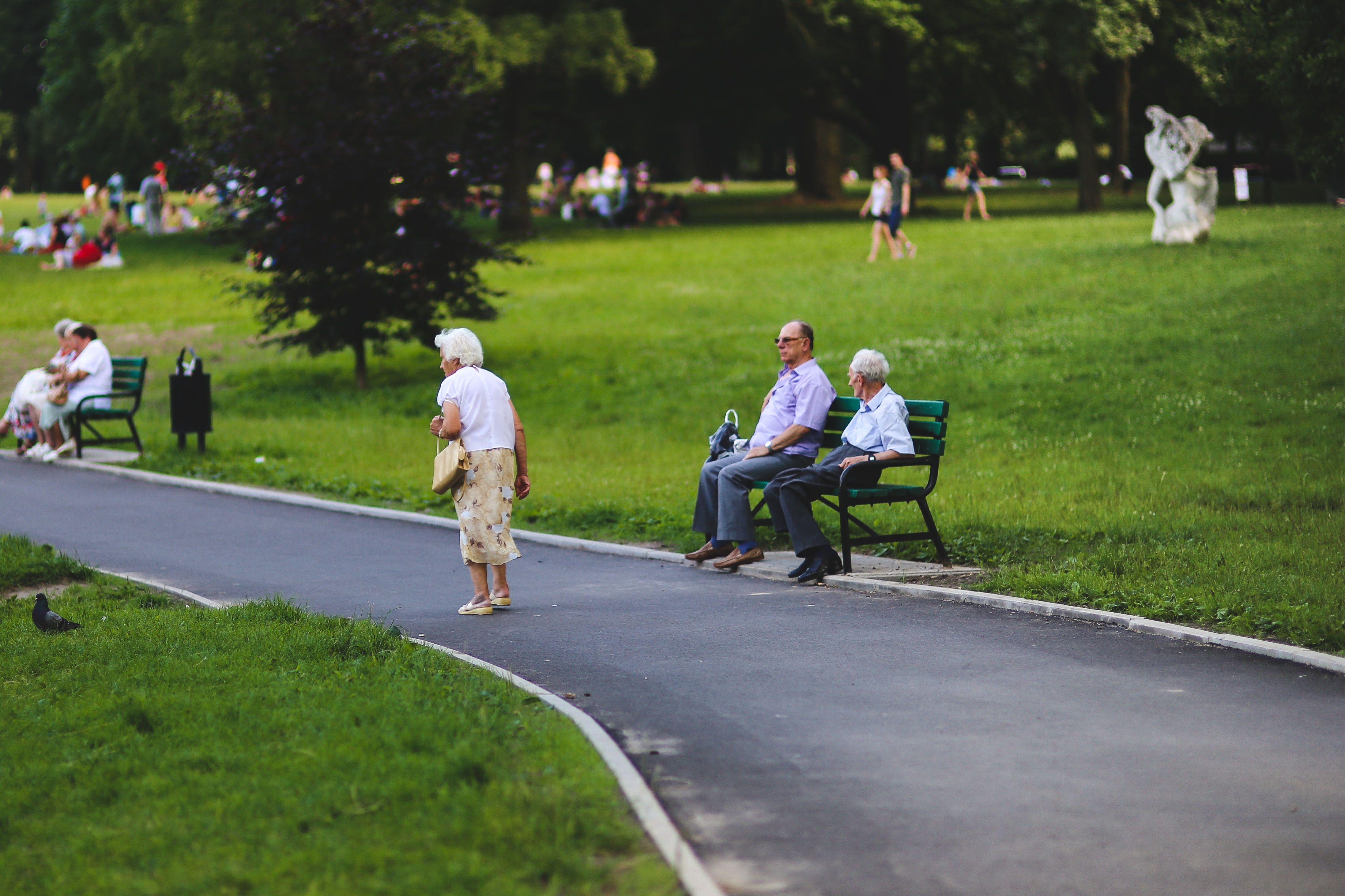 78 лет жизни. Прогулки в парках. Люди в парке. Гулять в парке. Парк с людьми.