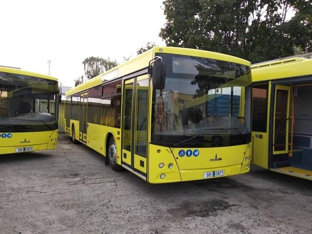 Великі автобуси МАЗ запустили на ще один маршрут у Львові