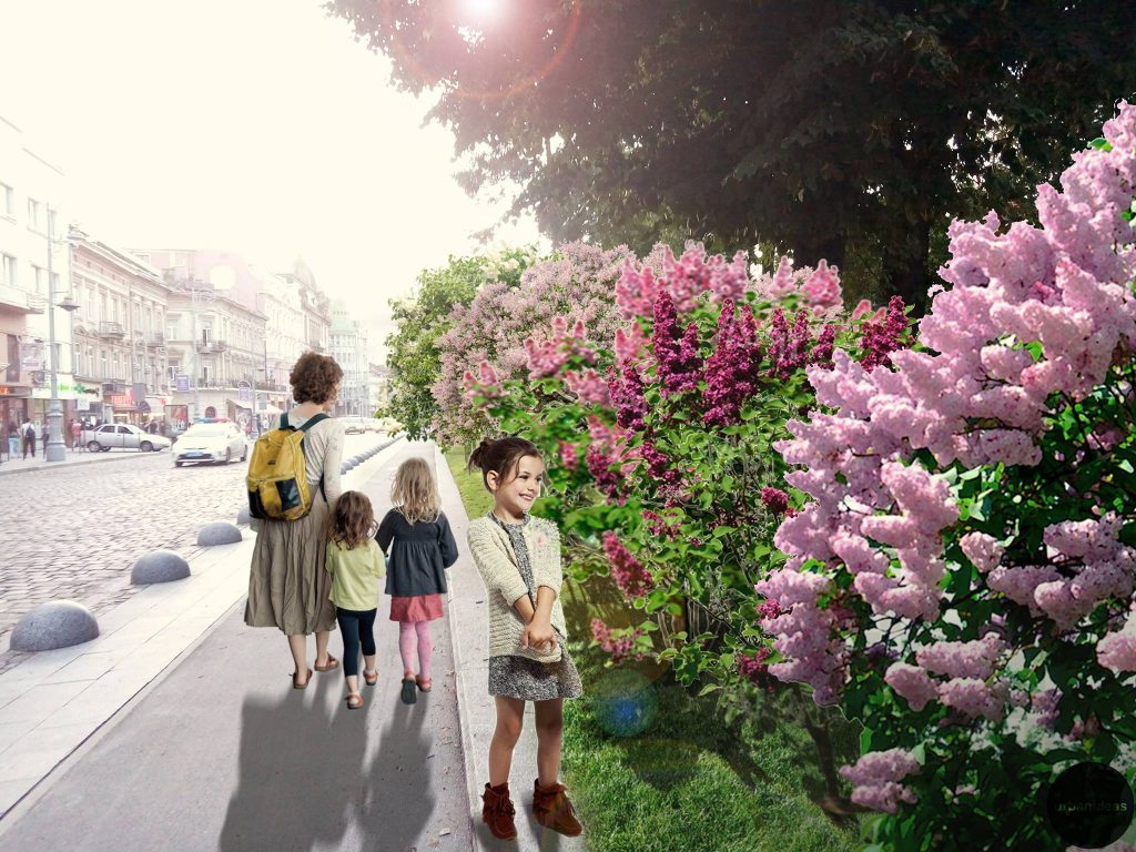 Активісти з Urbanideas пропонують засадити бузком проспект Свободи у Львові.