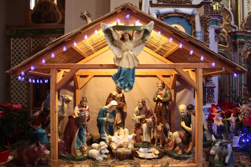 У катедральних храмах Львова встановили Різдвяні шопки: фото