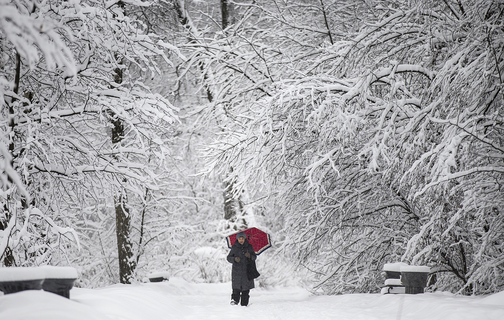 У Львові випало 20% від місячної норми снігу.