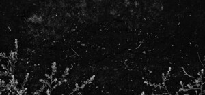 Фотовиставка Марти Швець 