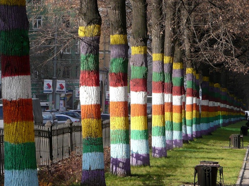 Львів’янам нагадали про заборону білити дерева і бордюри.