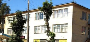 Лише за добу: петиція проти варварської обрізки дерев набрала півтисячі голосів